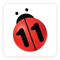 N11